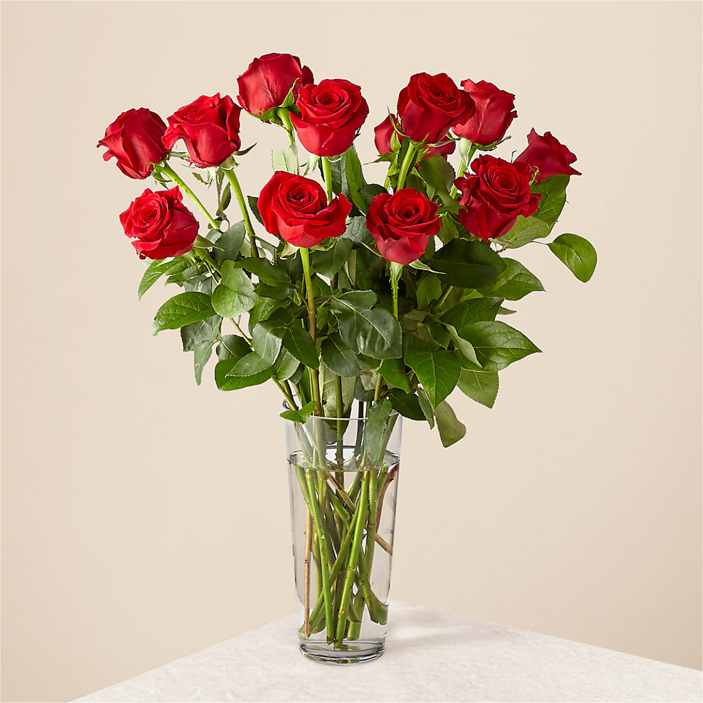 Long Stem Red Rose Bouquet – DESIGNER'S TOUCH FLORIST & GIFT SHOP LLC, West Union SC