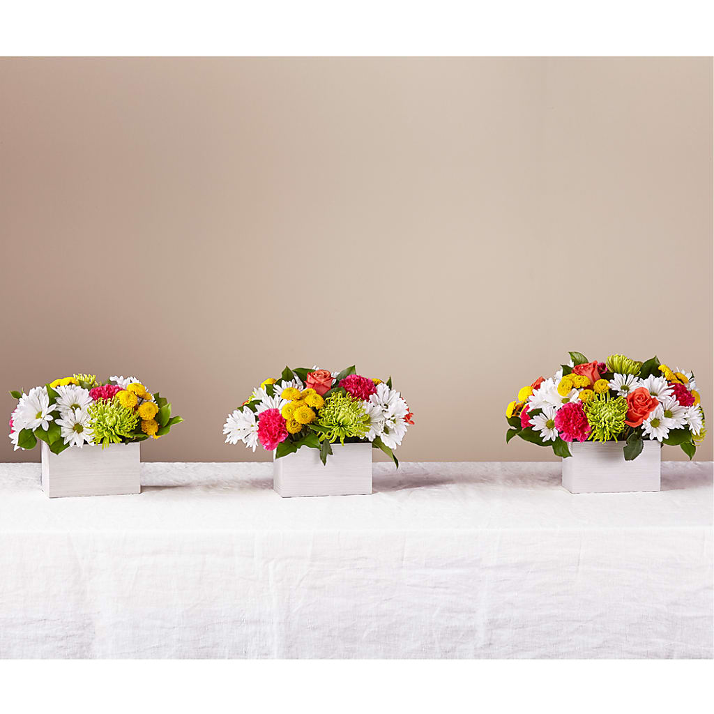 Sorbet Bouquet – DESIGNER'S TOUCH FLORIST & GIFT SHOP LLC, West Union SC