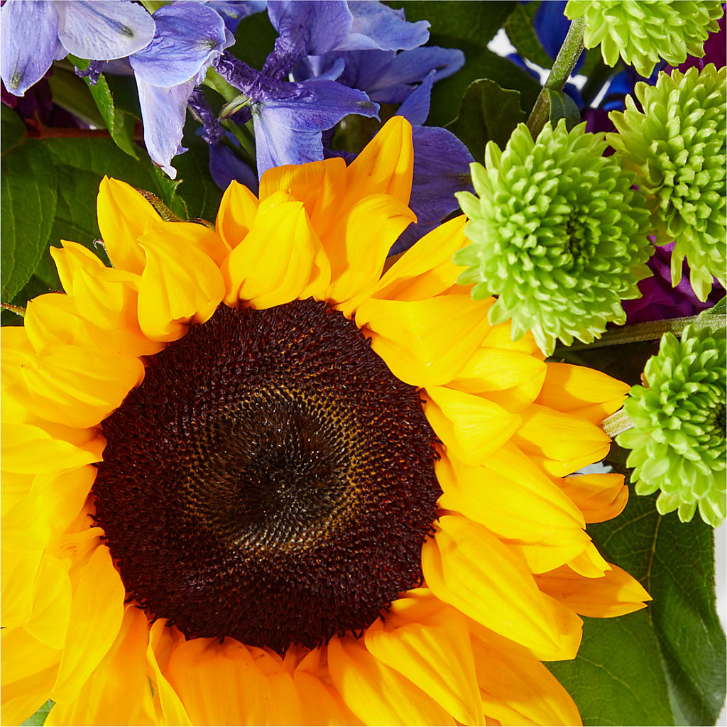Catching Rays Bouquet – DESIGNER'S TOUCH FLORIST & GIFT SHOP LLC, West Union SC