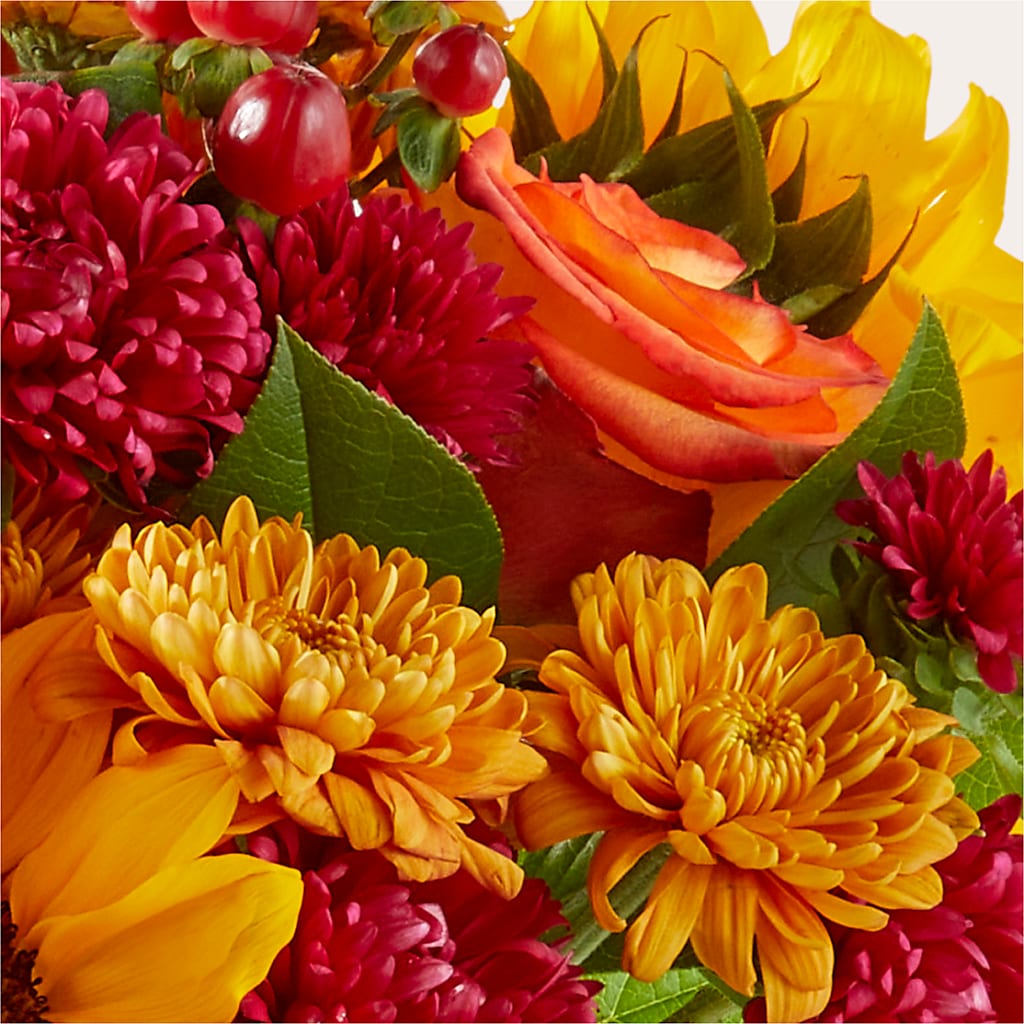 Sweater Season - A Florist Original – DESIGNER'S TOUCH FLORIST & GIFT SHOP LLC, West Union SC
