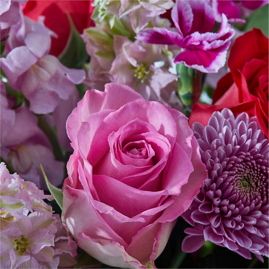 Better Together - A Luxury Florist Original – DESIGNER'S TOUCH FLORIST & GIFT SHOP LLC, West Union SC