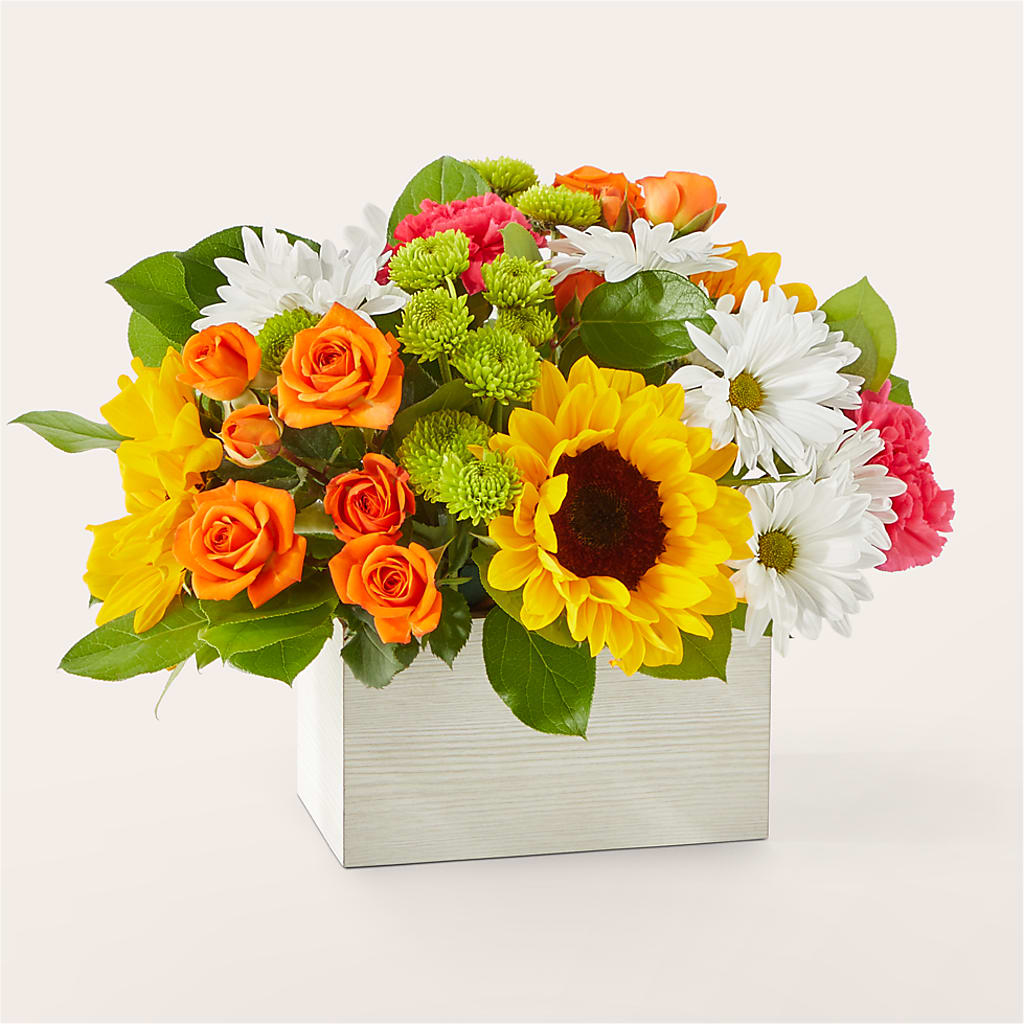 Sun-drenched Blooms Box Bouquet – DESIGNER'S TOUCH FLORIST & GIFT SHOP LLC, West Union SC