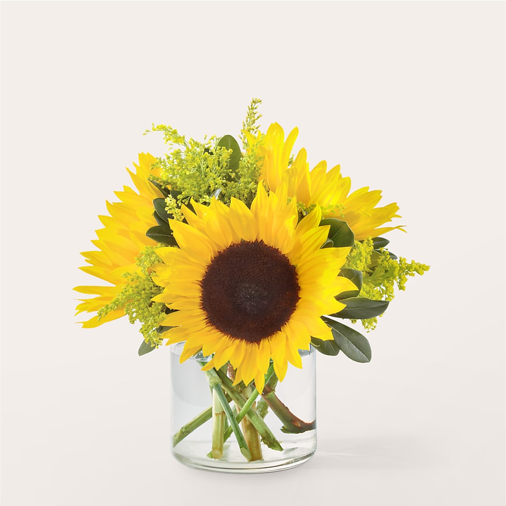 Beaming Sunflower Bouquet – DESIGNER'S TOUCH FLORIST & GIFT SHOP LLC, West Union SC