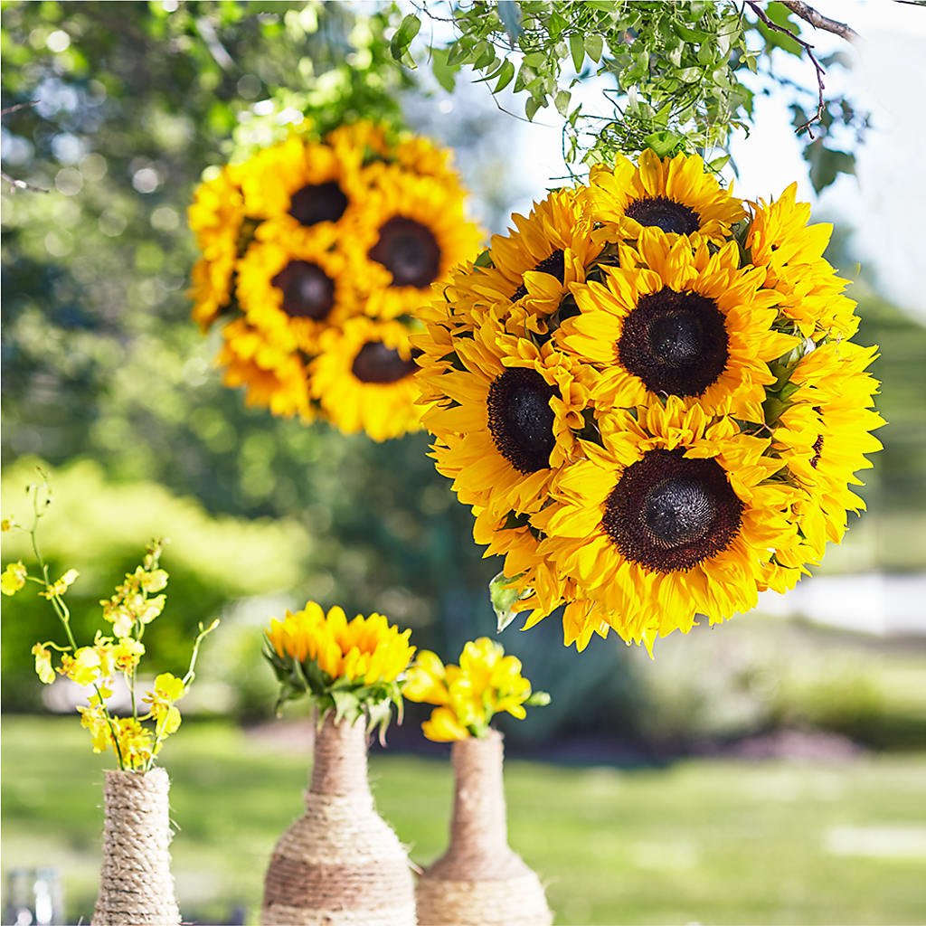 Sublime Garden Hanging Arrangement – DESIGNER'S TOUCH FLORIST & GIFT SHOP LLC, West Union SC