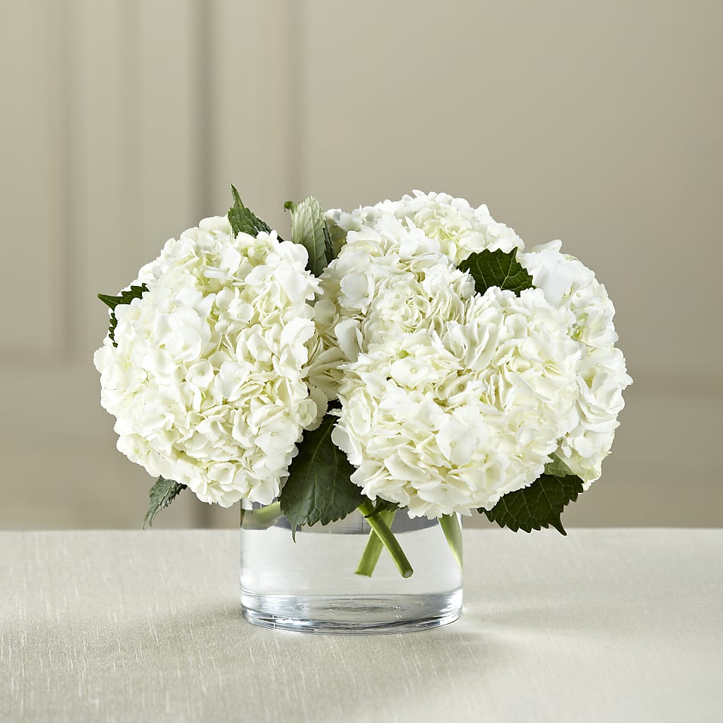 White Hydrangea Bouquet – DESIGNER'S TOUCH FLORIST & GIFT SHOP LLC, West Union SC