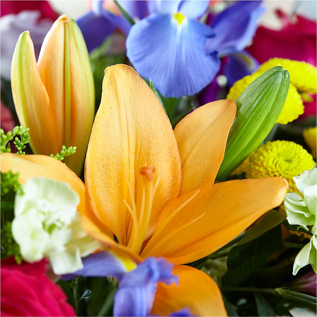 Bold & Bright – A Florist Original – DESIGNER'S TOUCH FLORIST & GIFT SHOP LLC, West Union SC