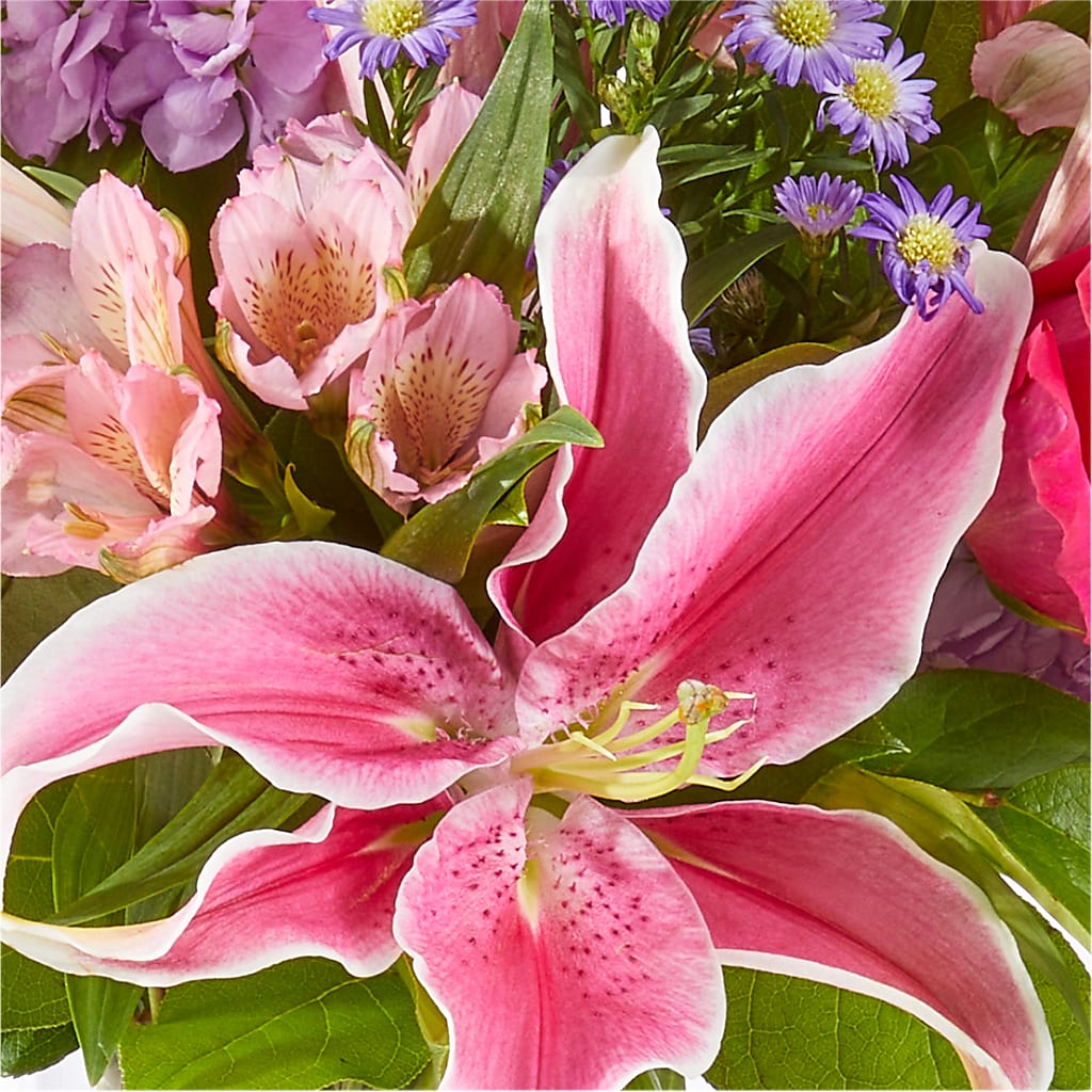 Written in the Stars Bouquet – DESIGNER'S TOUCH FLORIST & GIFT SHOP LLC, West Union SC