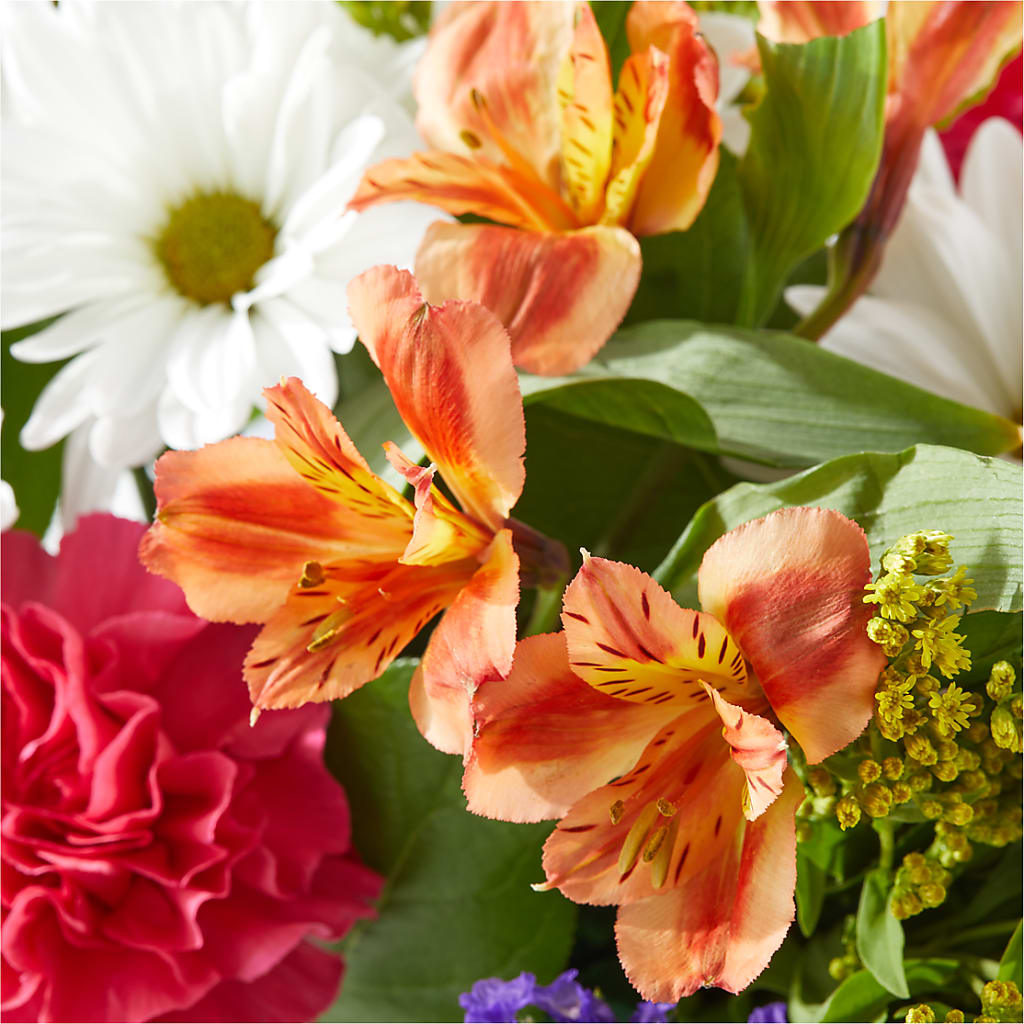Oopsie Daisy Box Bouquet – DESIGNER'S TOUCH FLORIST & GIFT SHOP LLC, West Union SC