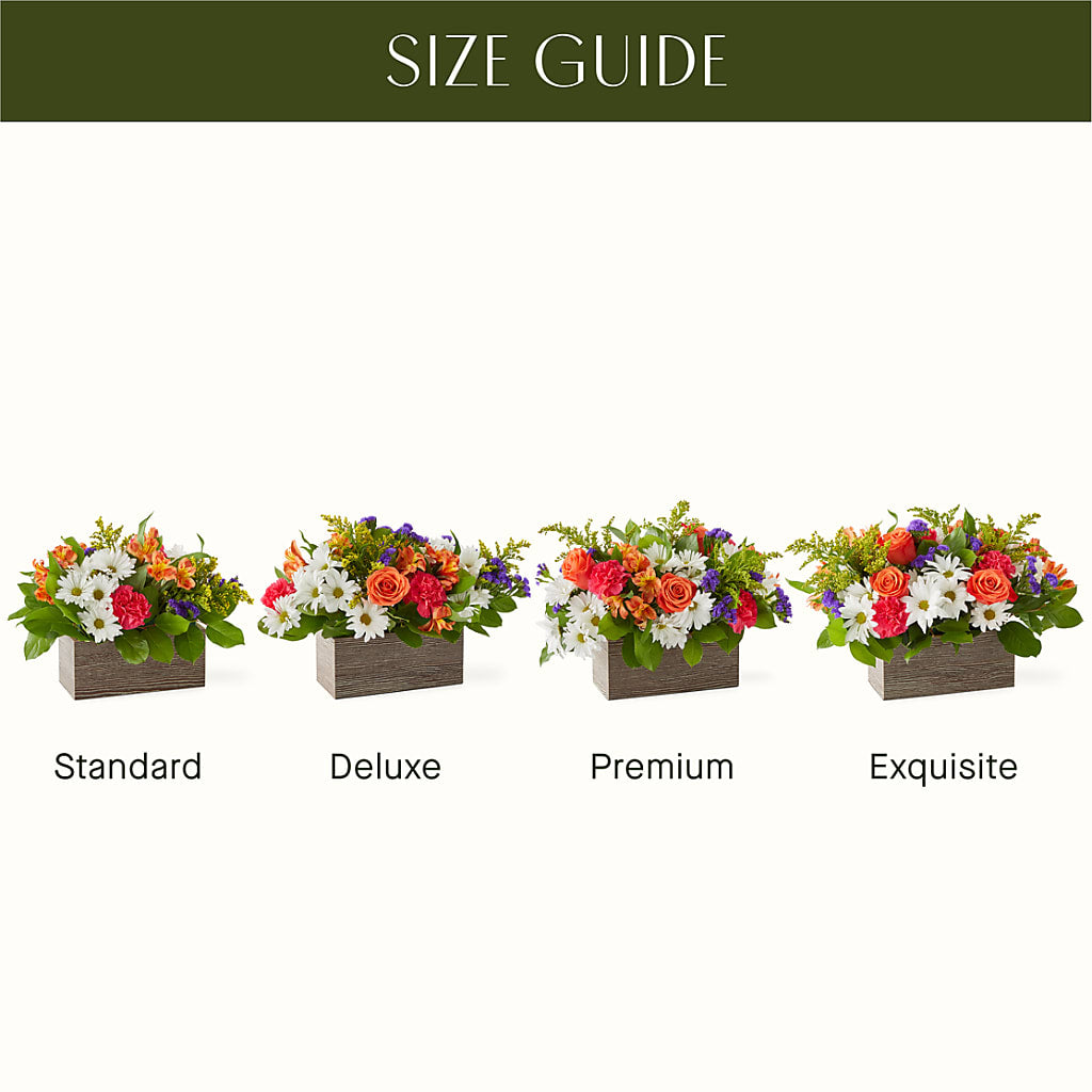 Oopsie Daisy Box Bouquet – DESIGNER'S TOUCH FLORIST & GIFT SHOP LLC, West Union SC