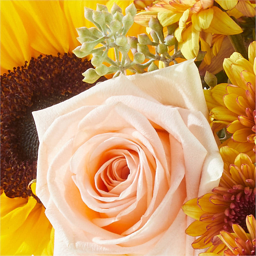 Pumpkin to Talk About Bouquet – DESIGNER'S TOUCH FLORIST & GIFT SHOP LLC, West Union SC