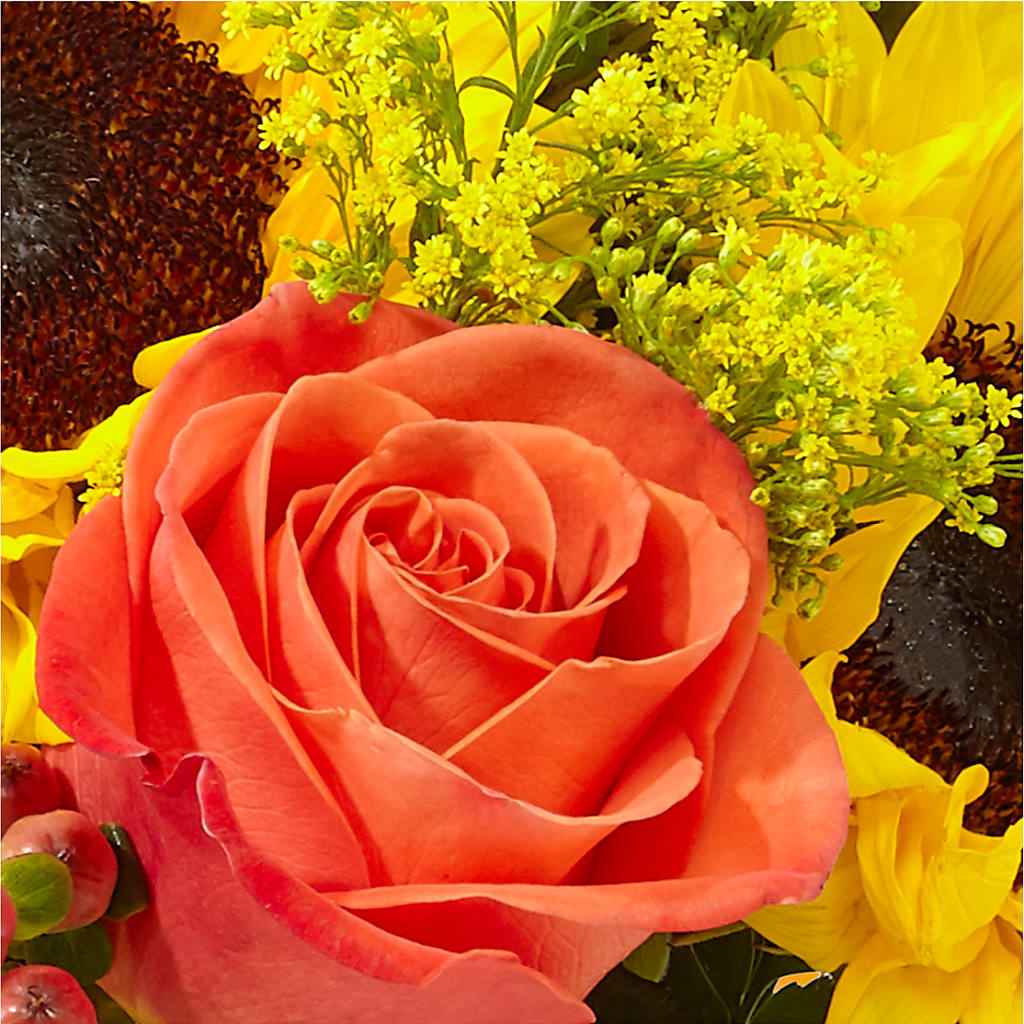 Pick of the Patch Pumpkin Bouquet – DESIGNER'S TOUCH FLORIST & GIFT SHOP LLC, West Union SC