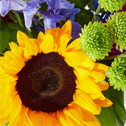 Catching Rays Bouquet – DESIGNER'S TOUCH FLORIST & GIFT SHOP LLC, West Union SC