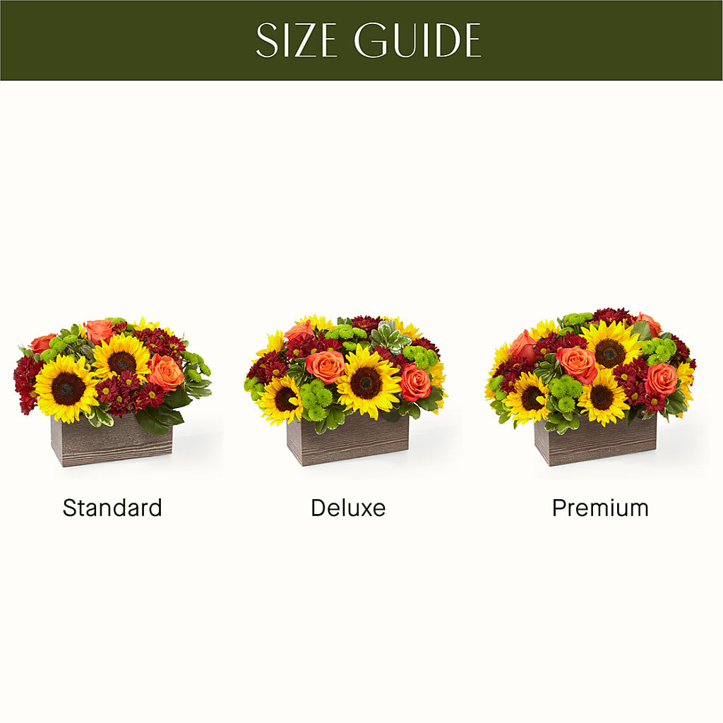 Happy Harvest Garden – DESIGNER'S TOUCH FLORIST & GIFT SHOP LLC, West Union SC