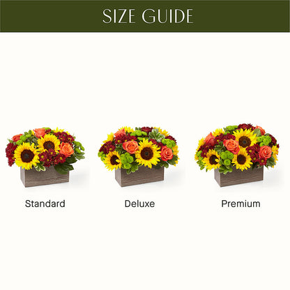 Happy Harvest Garden – DESIGNER'S TOUCH FLORIST & GIFT SHOP LLC, West Union SC