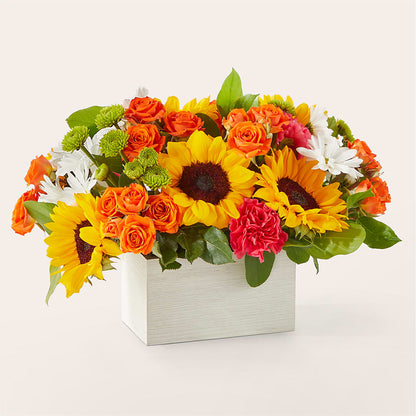 Sun-drenched Blooms Box Bouquet – DESIGNER'S TOUCH FLORIST & GIFT SHOP LLC, West Union SC