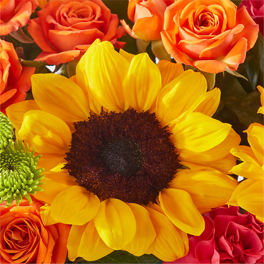 Sun-drenched Blooms Box Bouquet – DESIGNER'S TOUCH FLORIST & GIFT SHOP LLC, West Union SC