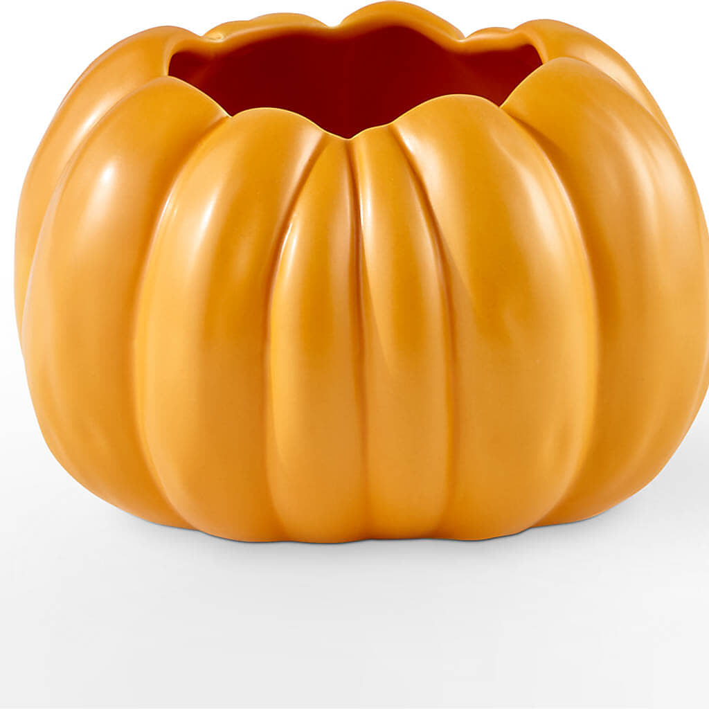 Golden Gourd Pumpkin Bouquet – DESIGNER'S TOUCH FLORIST & GIFT SHOP LLC, West Union SC
