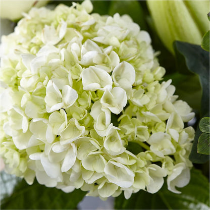 Classic Ivory – A Florist Original – DESIGNER'S TOUCH FLORIST & GIFT SHOP LLC, West Union SC
