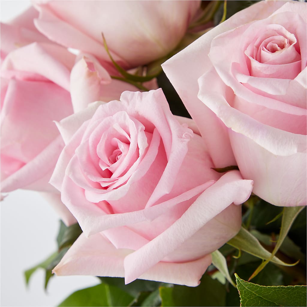Picture Perfect Pink Rose Bouquet – DESIGNER'S TOUCH FLORIST & GIFT SHOP LLC, West Union SC