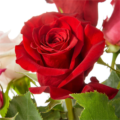 Love Notes Rose Bouquet – DESIGNER'S TOUCH FLORIST & GIFT SHOP LLC, West Union SC