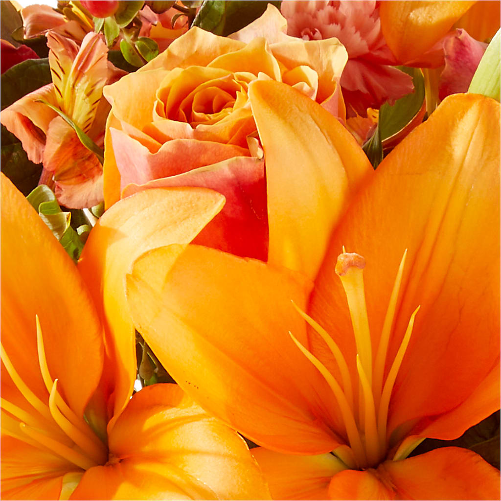 Afternoon Light Bouquet – DESIGNER'S TOUCH FLORIST & GIFT SHOP LLC, West Union SC