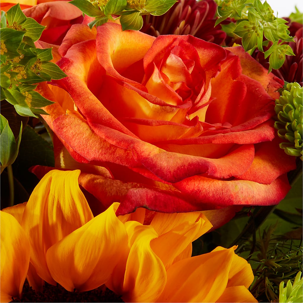 Harvest Festival Bouquet – DESIGNER'S TOUCH FLORIST & GIFT SHOP LLC, West Union SC