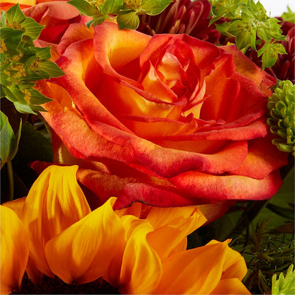 Harvest Festival Bouquet – DESIGNER'S TOUCH FLORIST & GIFT SHOP LLC, West Union SC