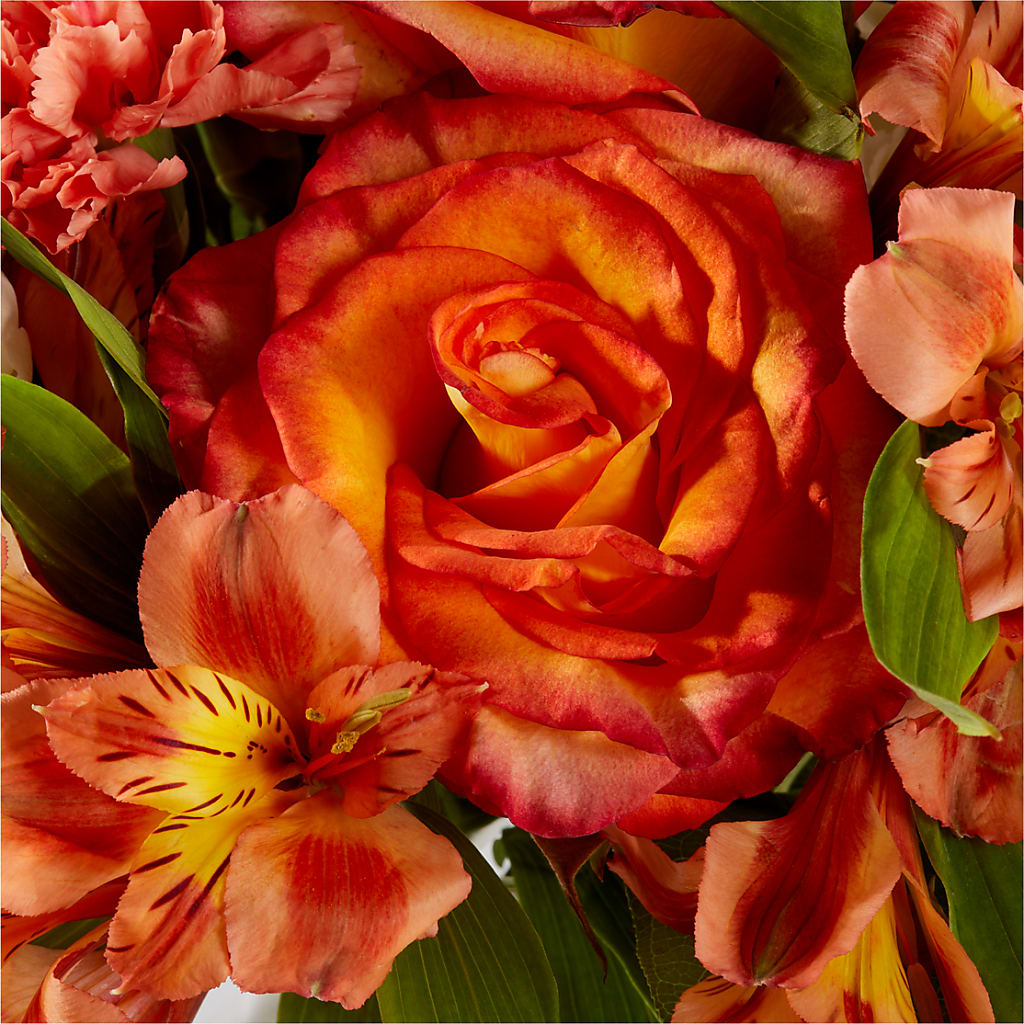 Apricot Glow Bouquet – DESIGNER'S TOUCH FLORIST & GIFT SHOP LLC, West Union SC
