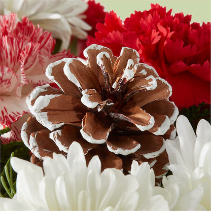 Candy Cane Lane Bouquet – DESIGNER'S TOUCH FLORIST & GIFT SHOP LLC, West Union SC
