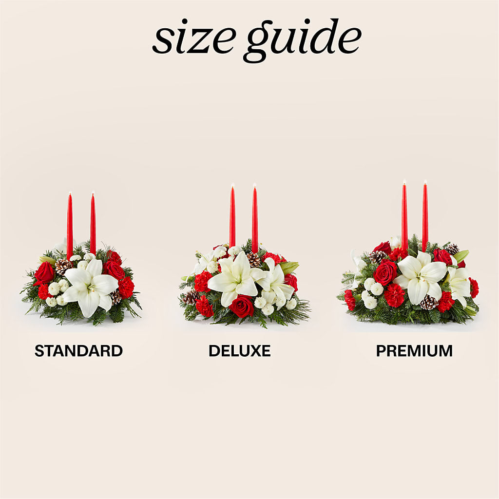 Seasonal Festivities Centerpiece – DESIGNER'S TOUCH FLORIST & GIFT SHOP LLC, West Union SC