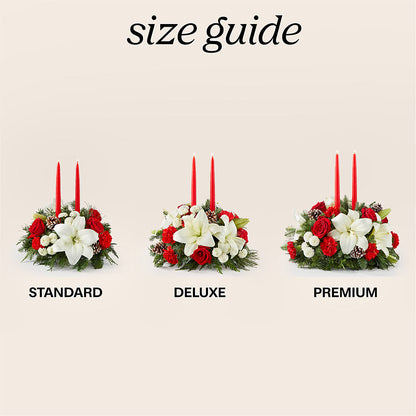 Seasonal Festivities Centerpiece – DESIGNER'S TOUCH FLORIST & GIFT SHOP LLC, West Union SC
