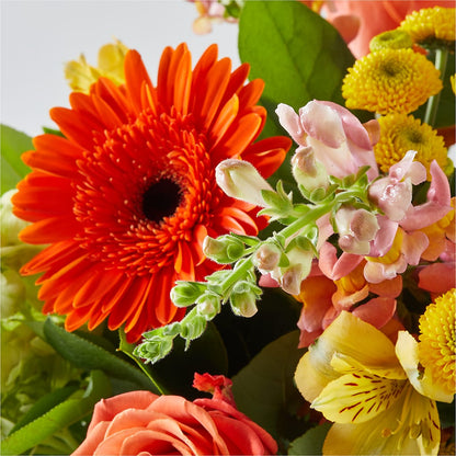 Autumn Sunshine Bouquet – DESIGNER'S TOUCH FLORIST & GIFT SHOP LLC, West Union SC