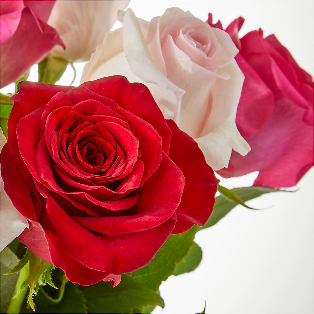 Charming Rose Bouquet – DESIGNER'S TOUCH FLORIST & GIFT SHOP LLC, West Union SC