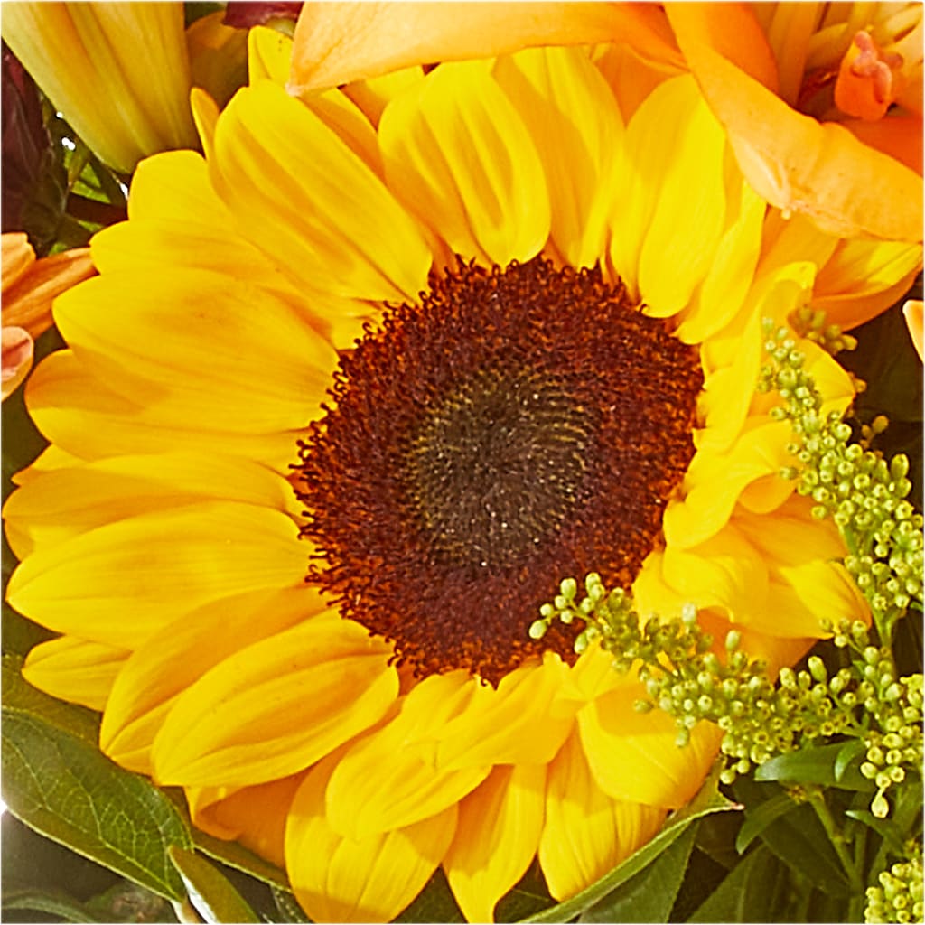 Seasons Change Bouquet – DESIGNER'S TOUCH FLORIST & GIFT SHOP LLC, West Union SC