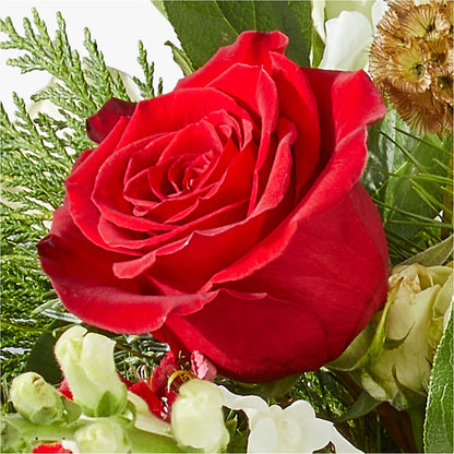 Deck the Halls Bouquet – DESIGNER'S TOUCH FLORIST & GIFT SHOP LLC, West Union SC