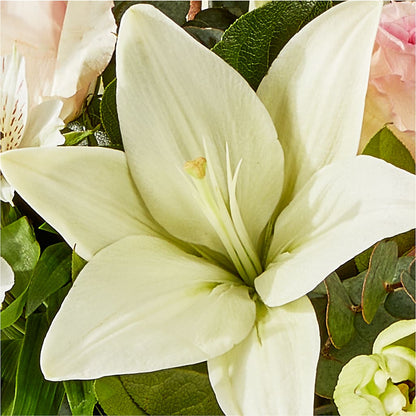 Ballet Slippers Bouquet – DESIGNER'S TOUCH FLORIST & GIFT SHOP LLC, West Union SC