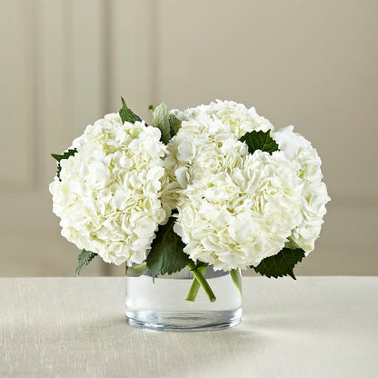 White Hydrangea Bouquet – DESIGNER'S TOUCH FLORIST & GIFT SHOP LLC, West Union SC